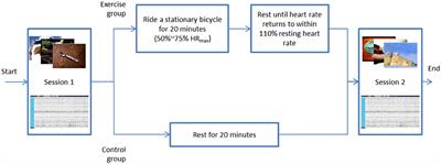 Improvement of Emotional Response to Negative Stimulations With Moderate-Intensity Physical Exercise